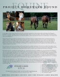 equine-project-homeward-bound-article2019