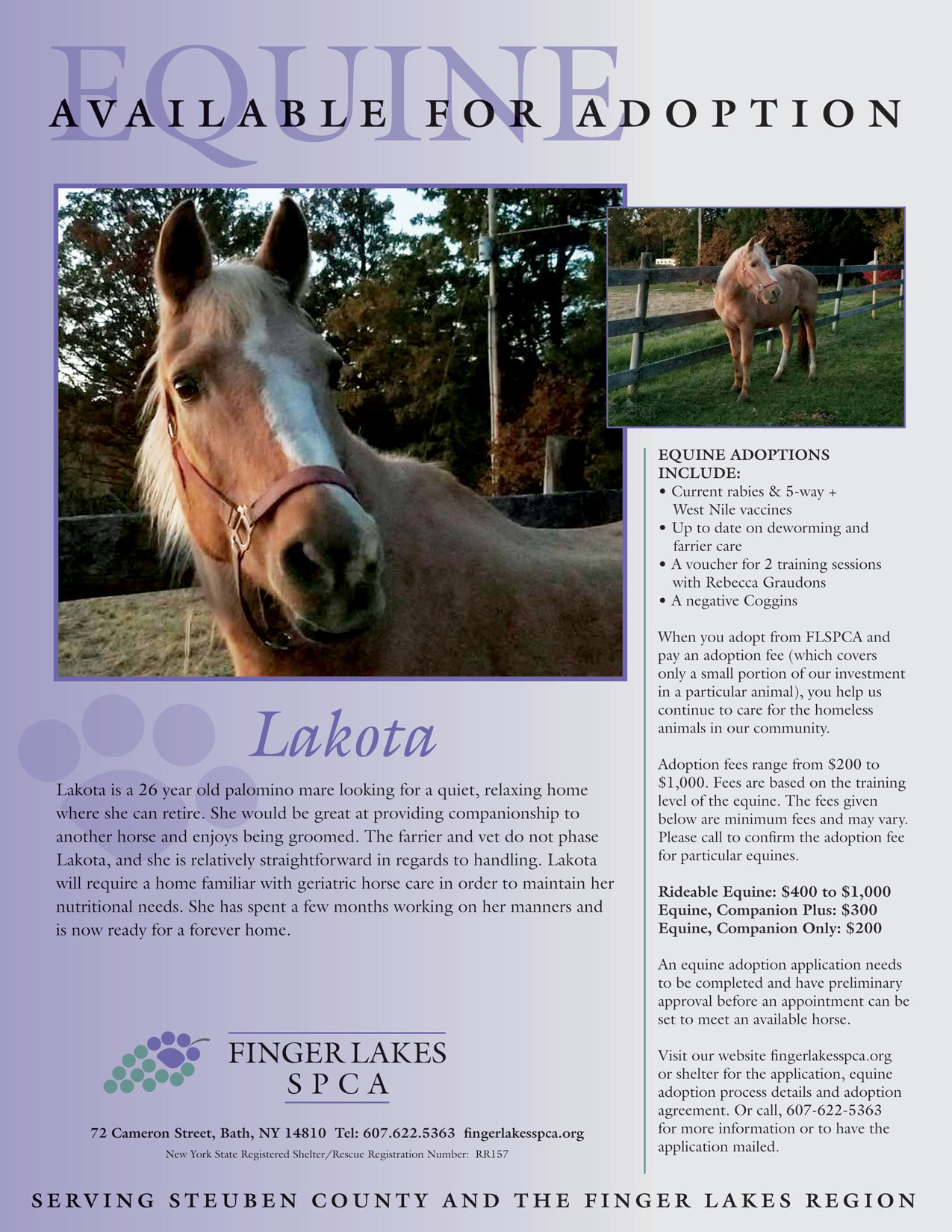 lakota-equine-project-homeward-bound-2019