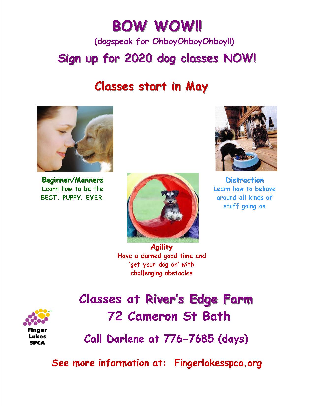 FLSPCA | Dog Training Classes 2020