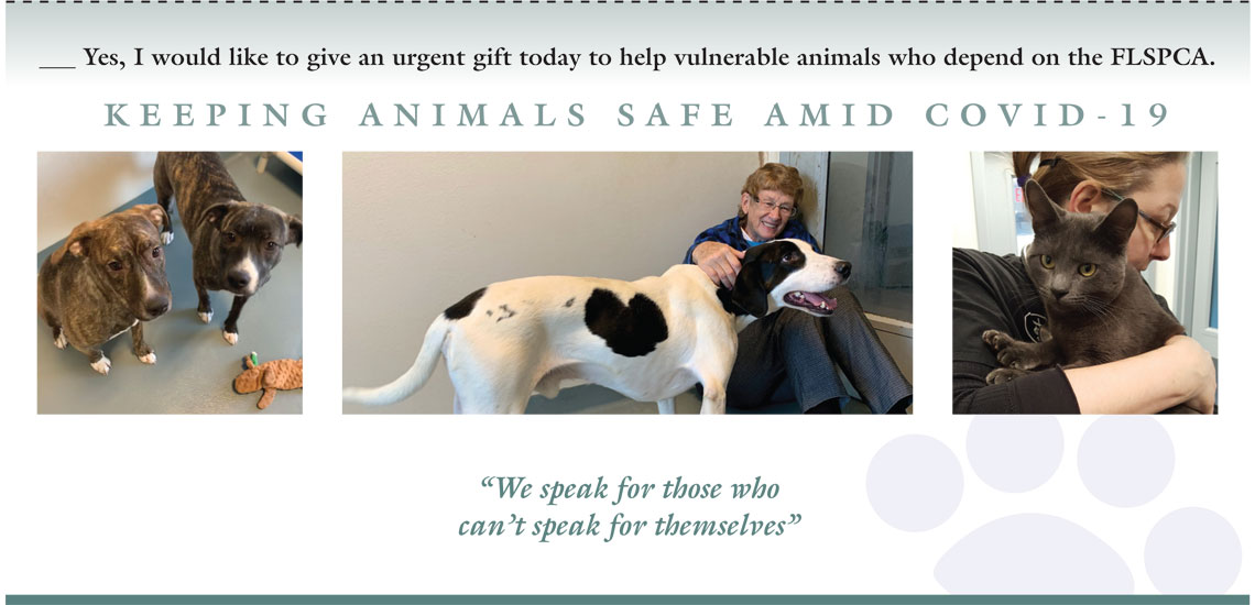 Finger Lakes SPCA | Spring Appeal 2020