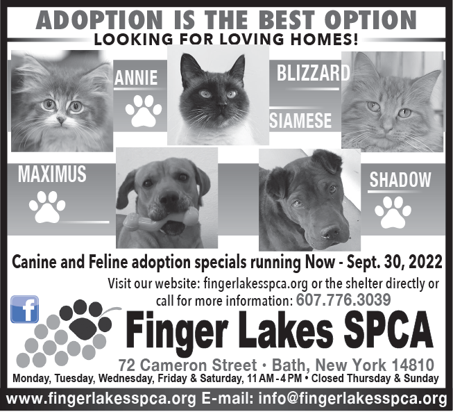 Finger Lakes SPCA Adoption Specials | August through September 2022