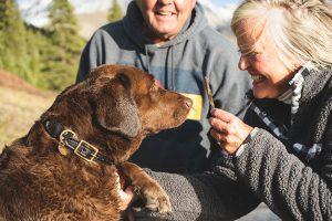 Light colored man and woman senior citizen giving a treat and shaking the paw of a old brown dog.