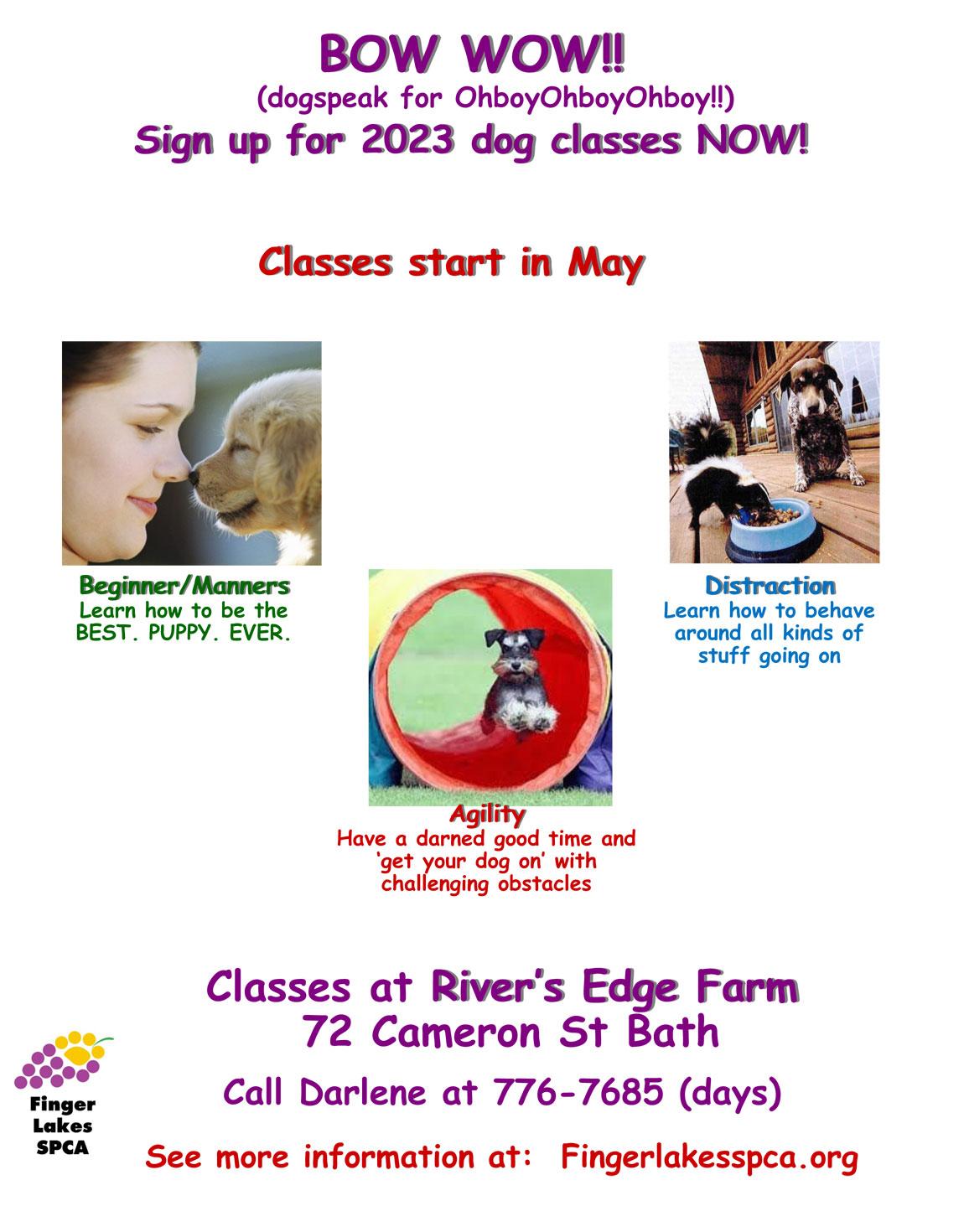 FLSPCA | Dog Training Classes 2023