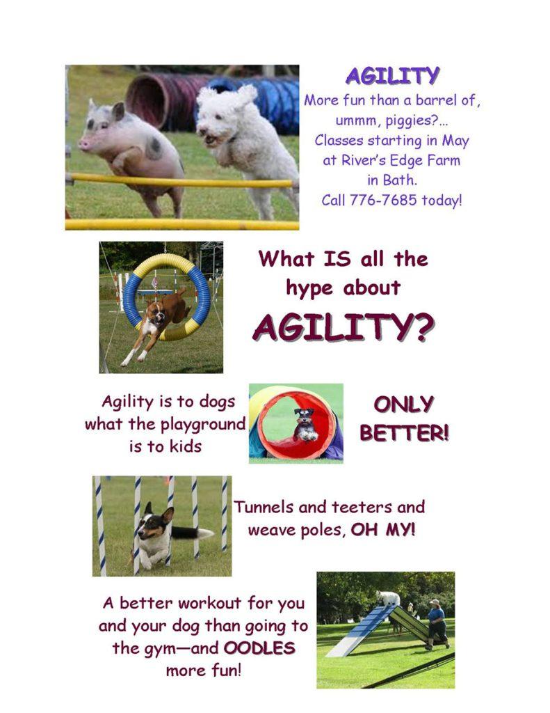 FLSPCA Dog Training Agility 2023