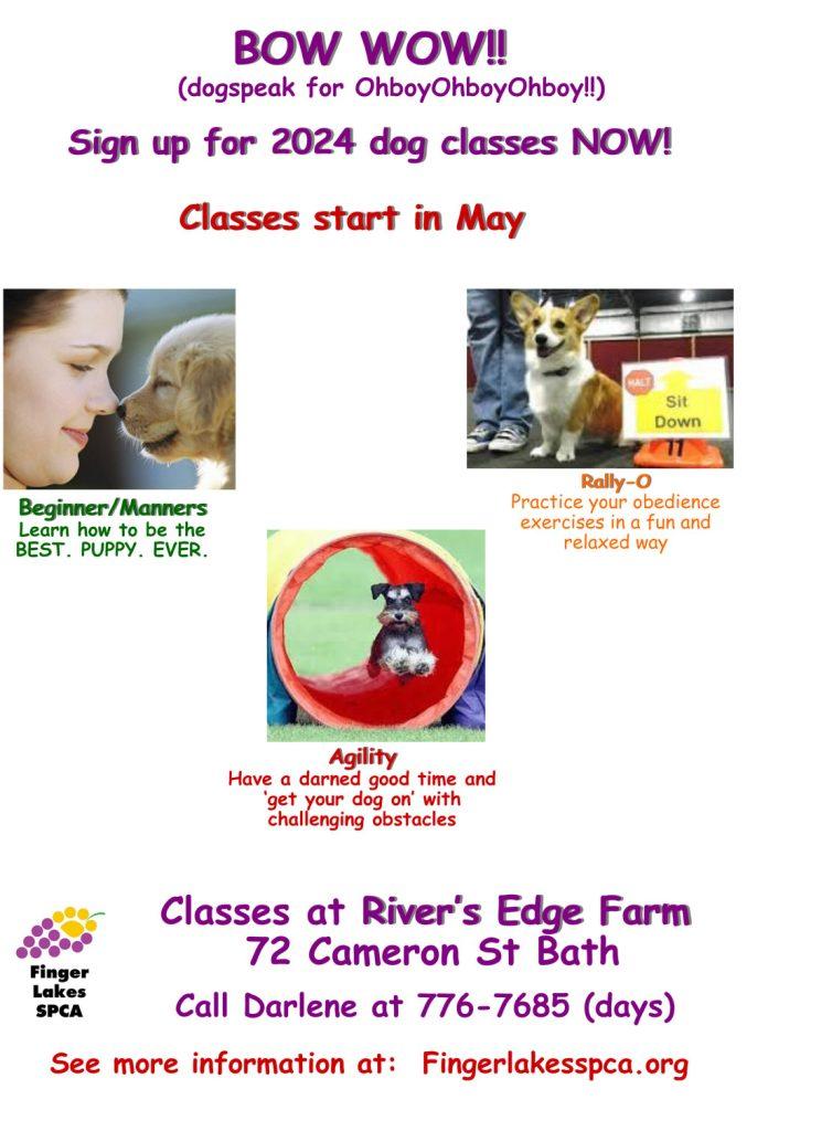 FLSPCA Dog Training Classes May 2024