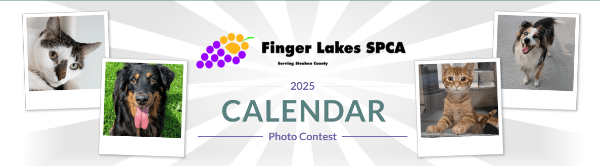 Finger Lakes SPCA 2025 calendar photo contest